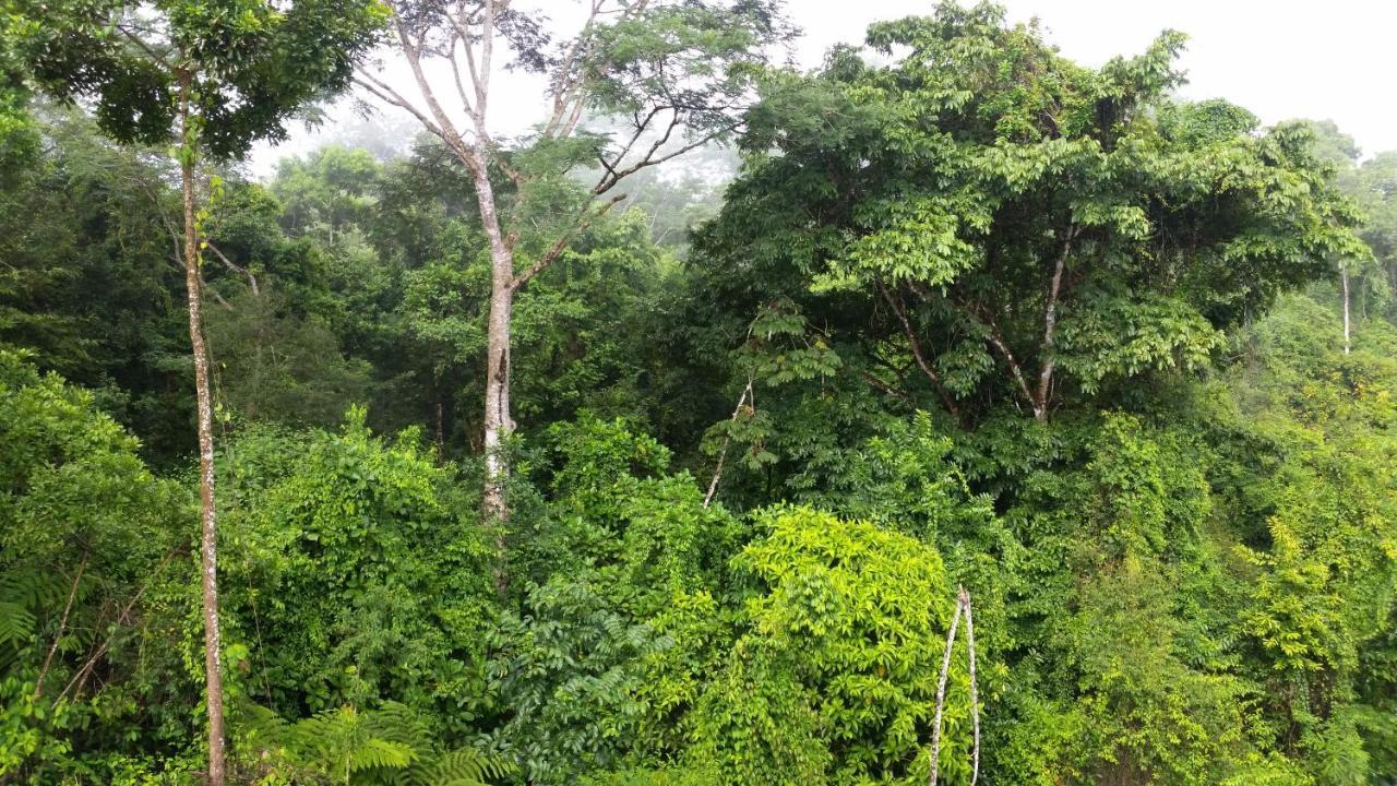 Finca Sueno De Osa Puerto Jiménez Esterno foto
