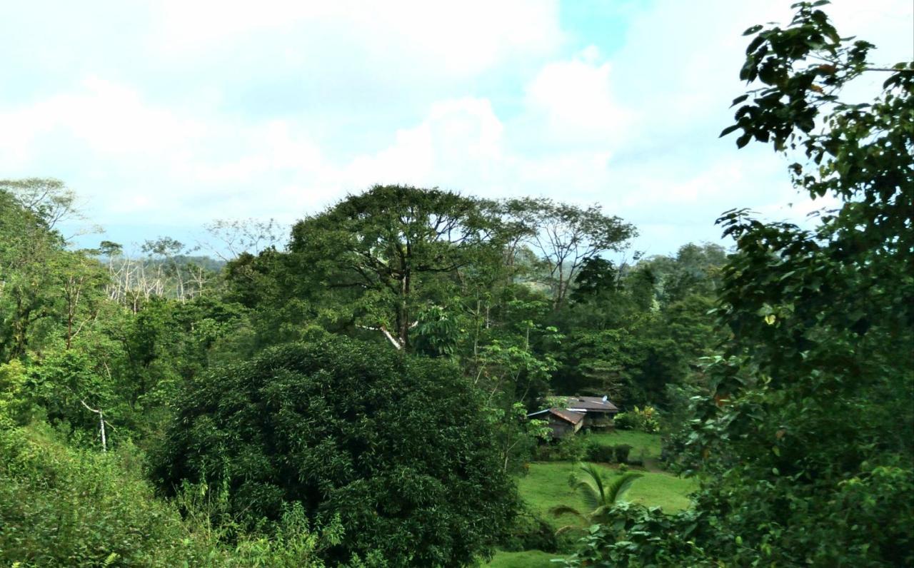 Finca Sueno De Osa Puerto Jiménez Esterno foto