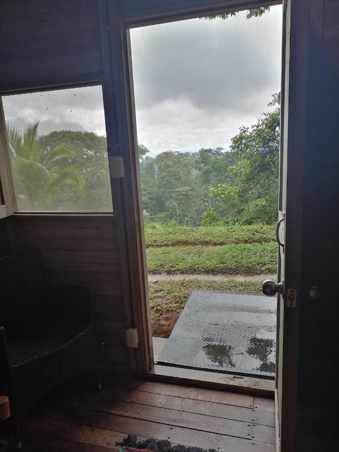Finca Sueno De Osa Puerto Jiménez Esterno foto