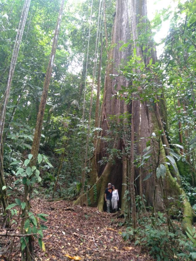 Finca Sueno De Osa Puerto Jiménez Esterno foto