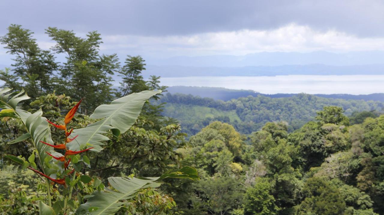 Finca Sueno De Osa Puerto Jiménez Esterno foto