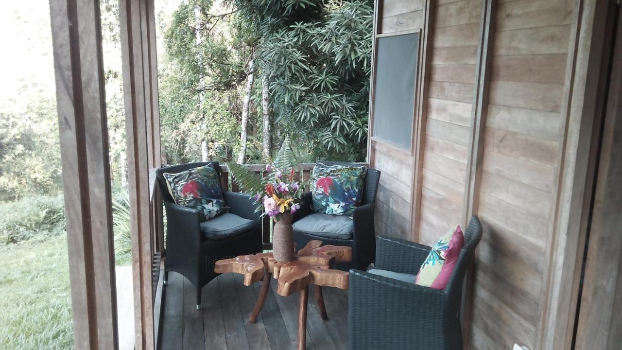 Finca Sueno De Osa Puerto Jiménez Esterno foto