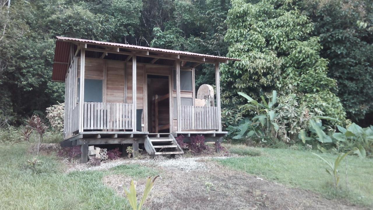 Finca Sueno De Osa Puerto Jiménez Esterno foto